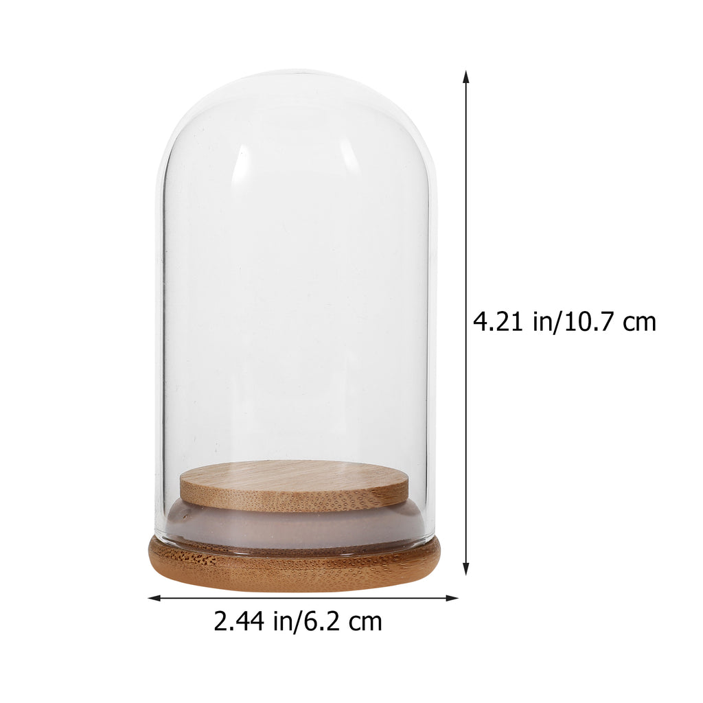 5 Pcs Glass Dome Display Case with Bamboo Z563