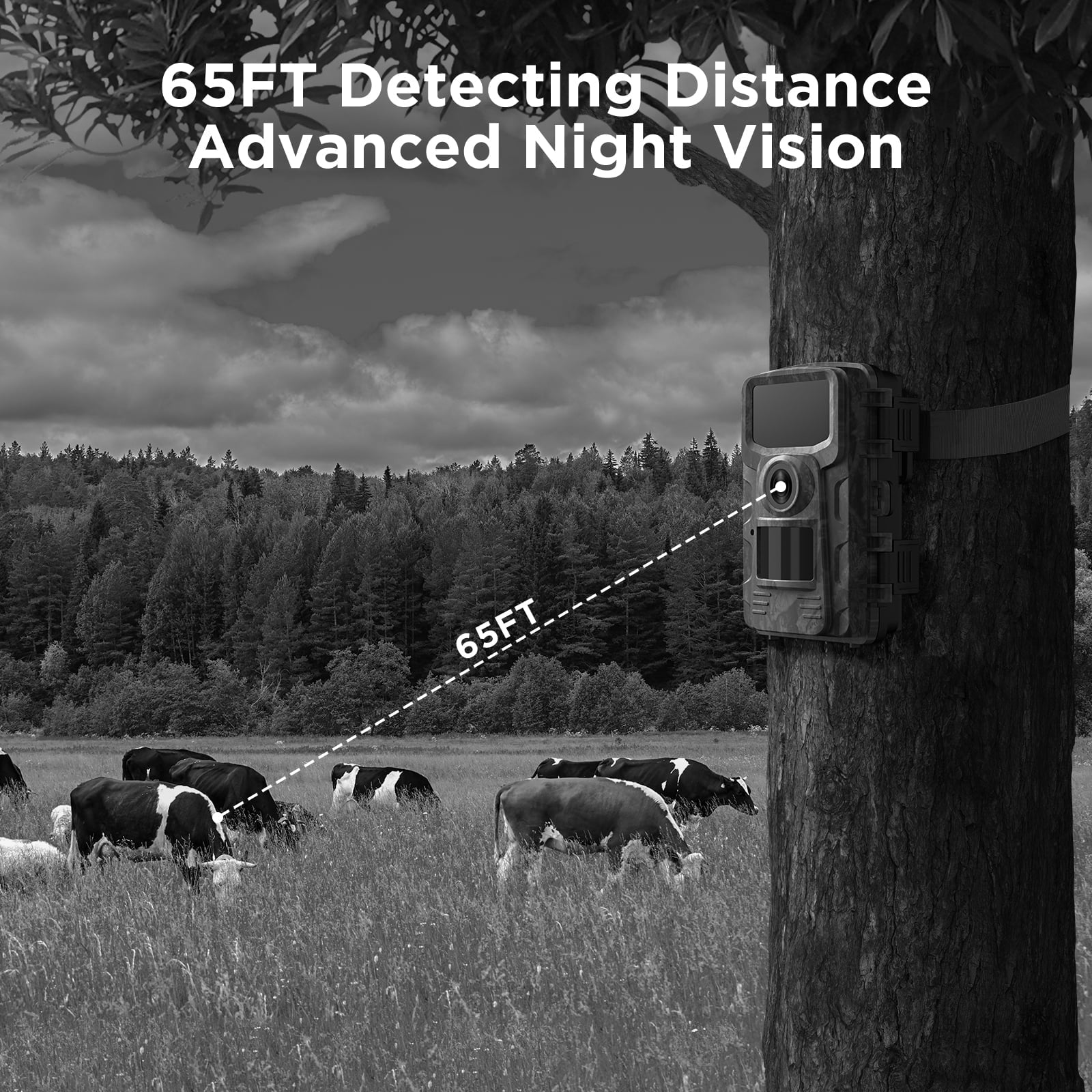 Trail Camera with SD Card 40MP 4K Infrared Night Vision Waterproof Motion Activated 120° Wide Angle 2.0" LCD E1619
