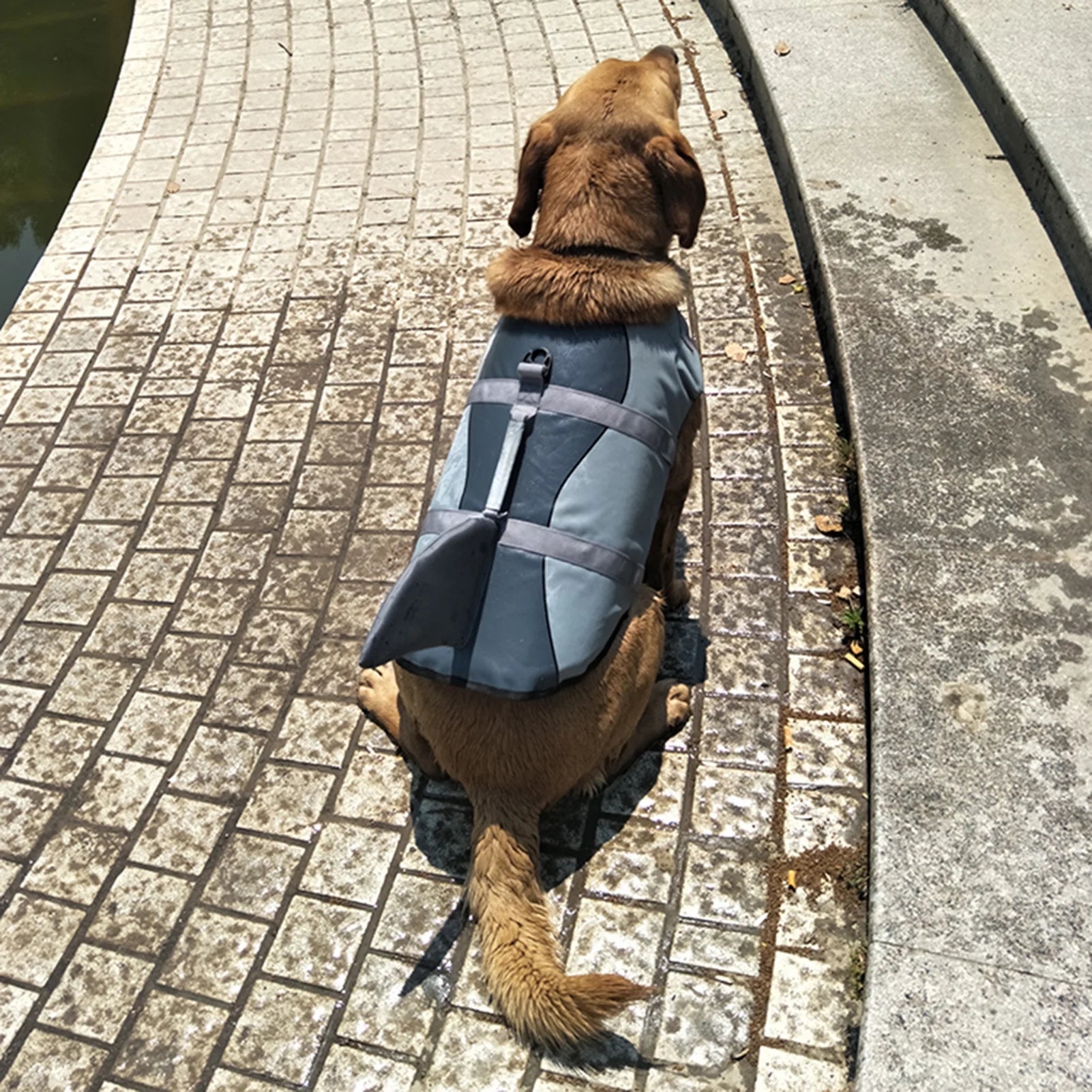 Dog Life Jacket Swimsuit Vest O4110