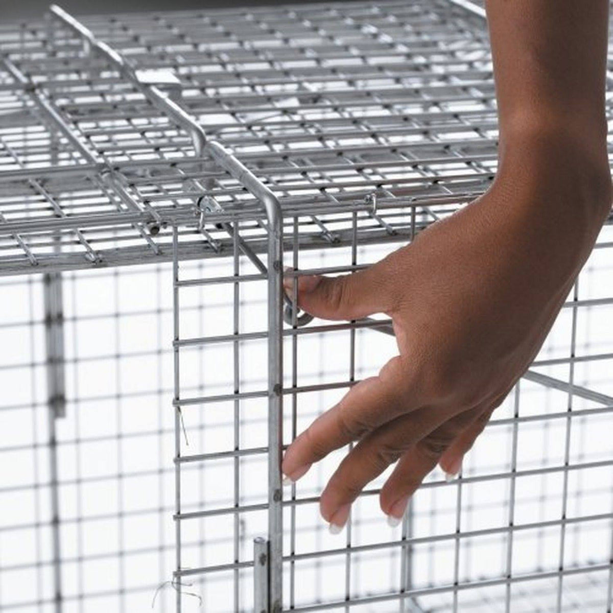 Large One-Door Cage Trap M283667