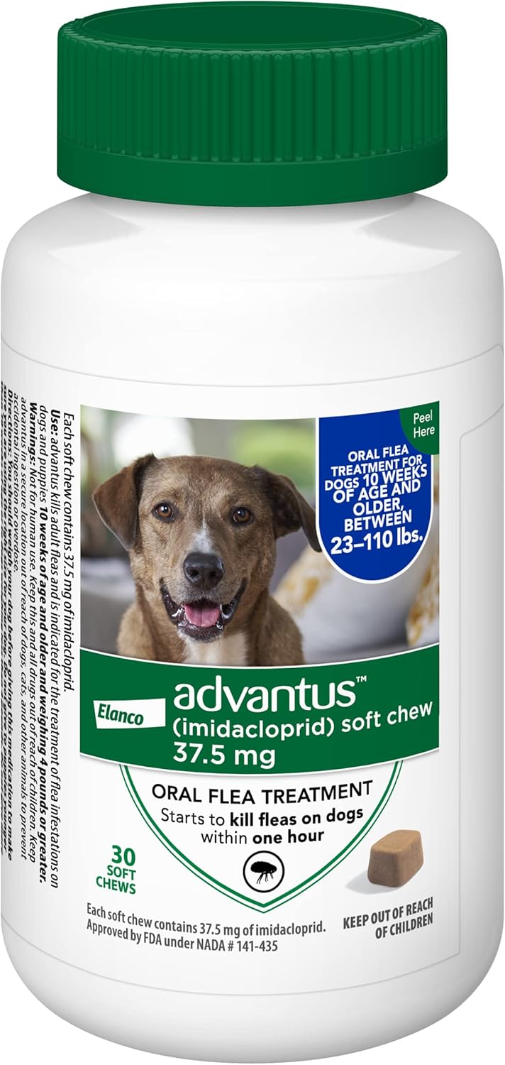 Chewable Flea Treatment for Large Dogs, 23-110 Pounds, Pack of 2 G888