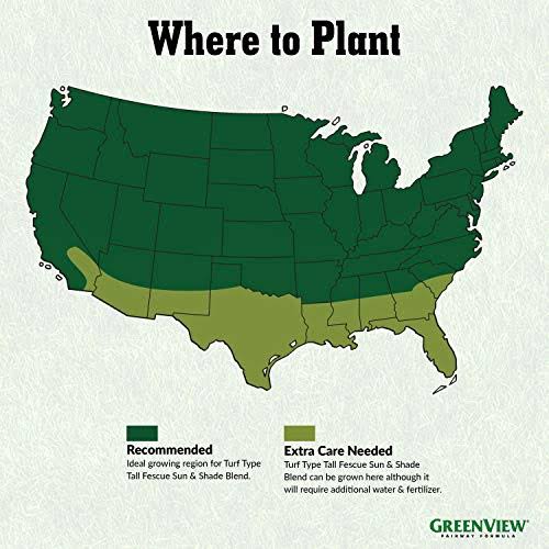 20 lb Turf Type Tall Fescue Grass Seed O774631