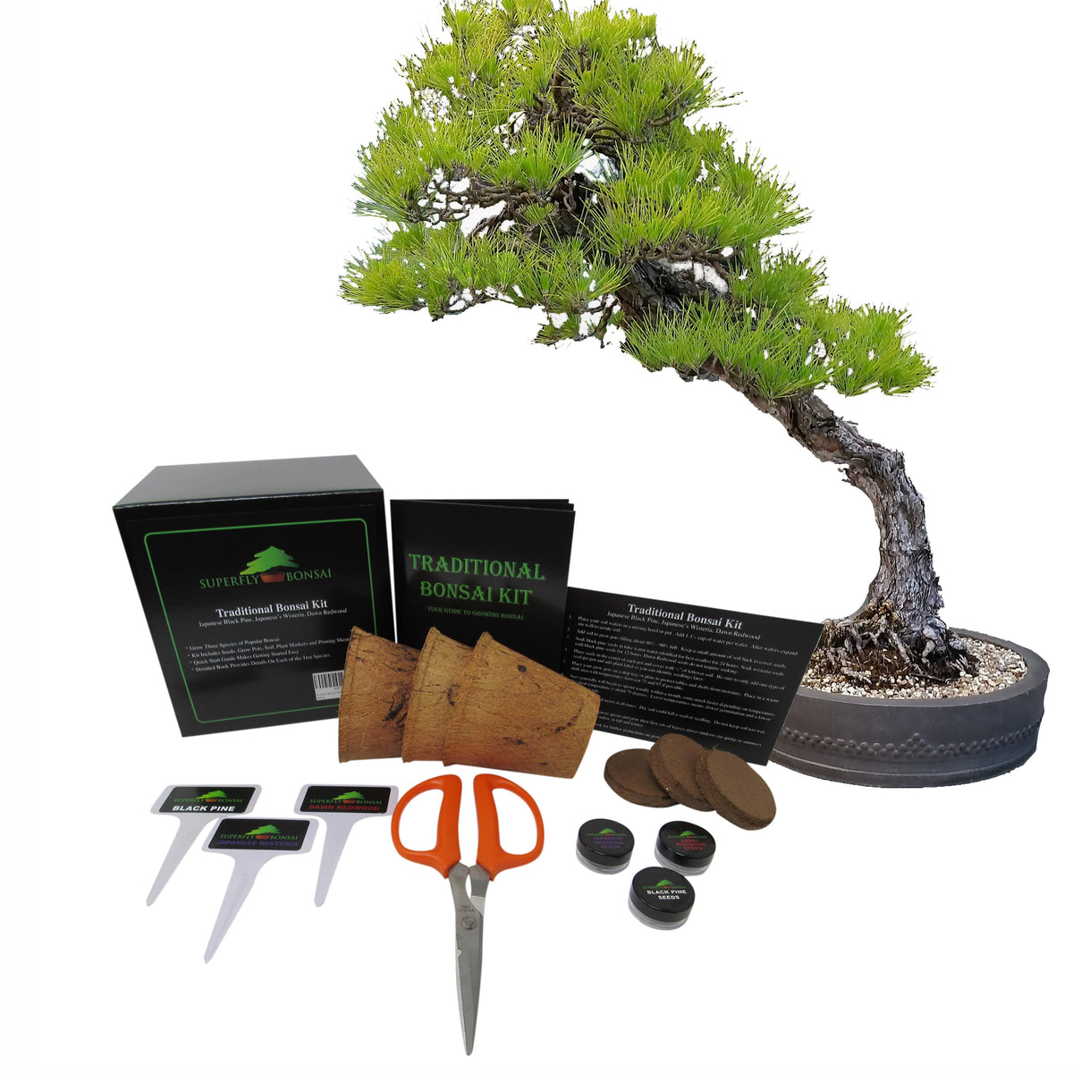 Bonsai Tree Starter Seed Kit, Black Pine, Wisteria & Dawn Redwood H76089