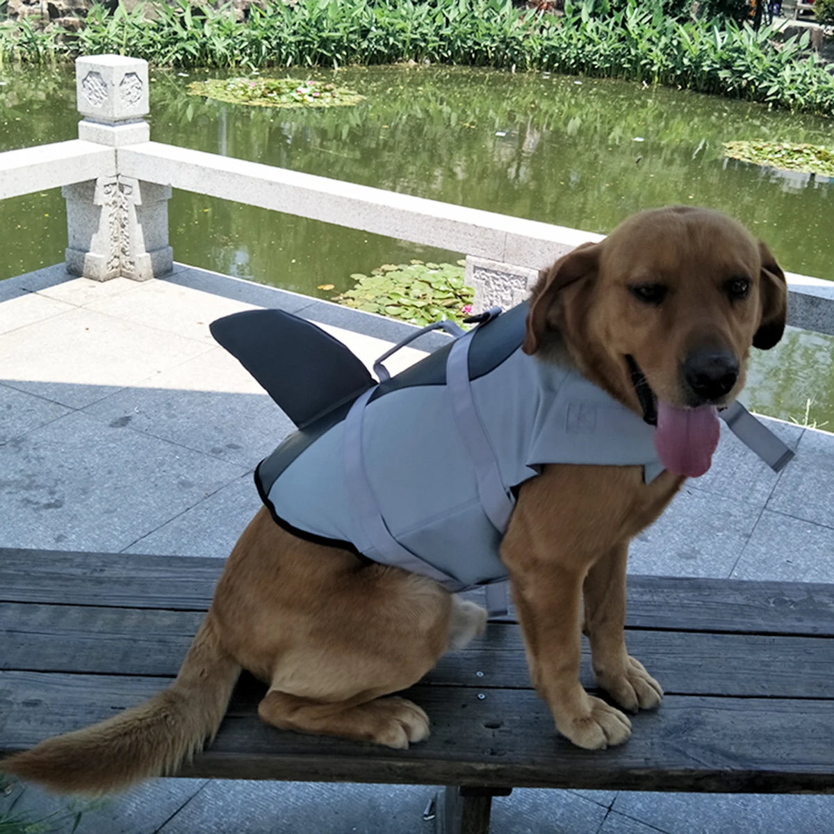 Dog Life Jacket Swimsuit Vest O4110