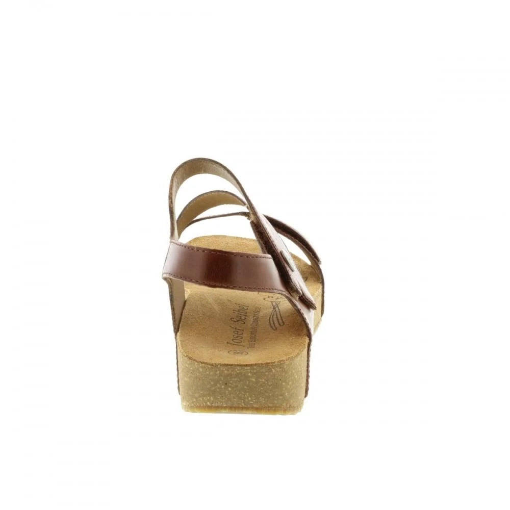 Camel Tonga 25 Shoes K381562