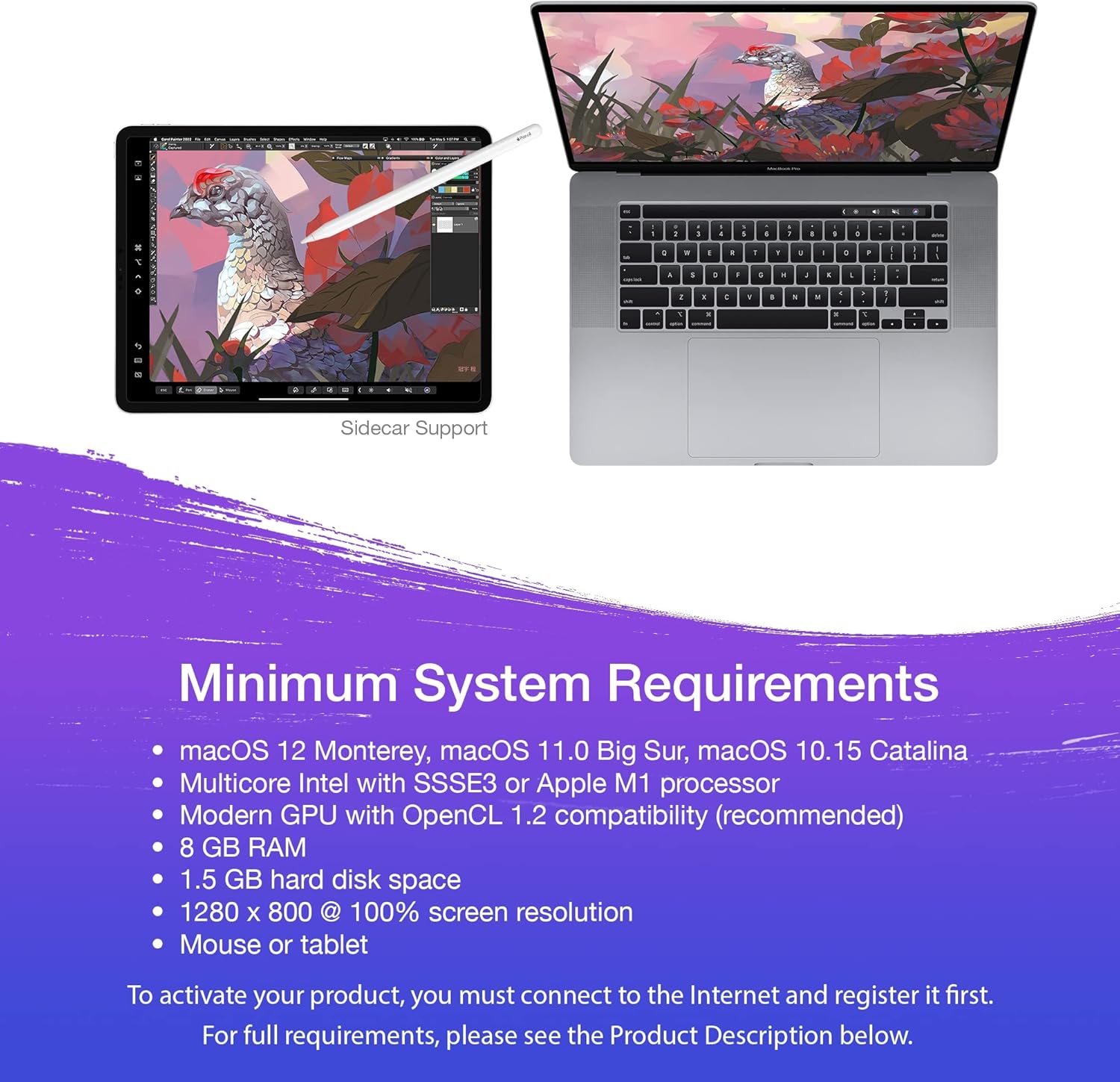 Professional Digital Painting Software V269