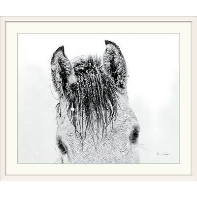 Photographic Print White Frame 27x22 H x 32x22 W x 1x22 D O9753