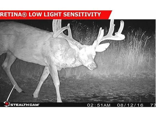 12 Mp Game Camera Y84555