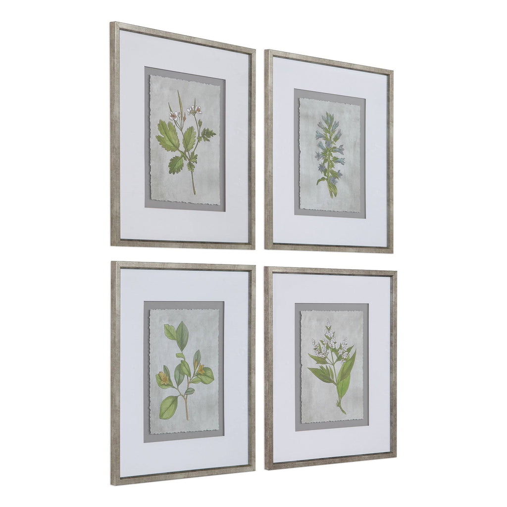 Stem Study Framed Prints Set/4 R38731