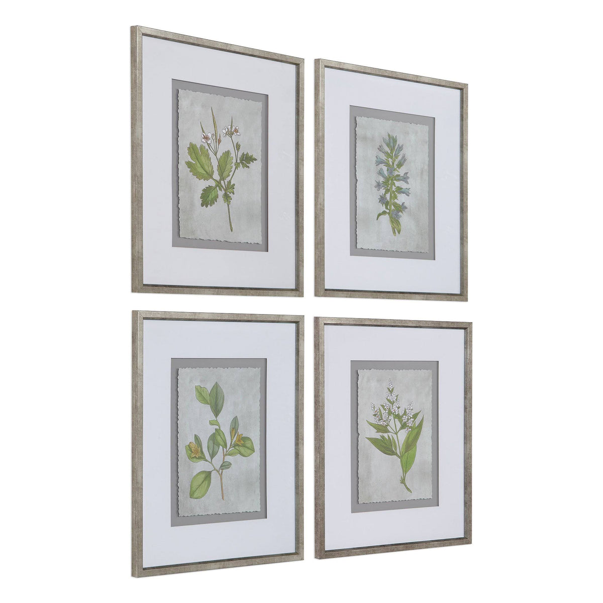 Stem Study Framed Prints Set/4 R38731