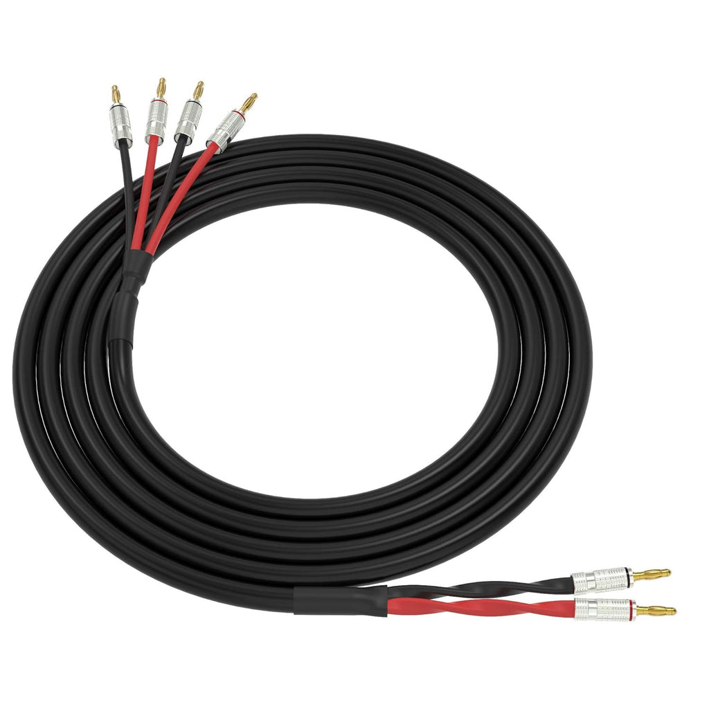 Black 3 Feet Speaker Cable with Gold Plated Banana Plugs Y900