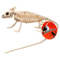 Halloween Lizard Skeleton (Pack of 24) R682426
