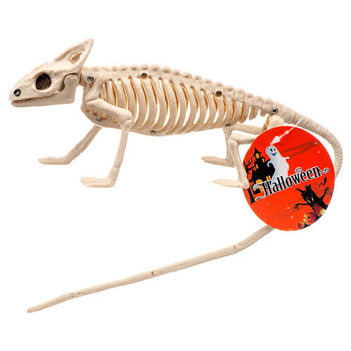 Halloween Lizard Skeleton (Pack of 24) R682426