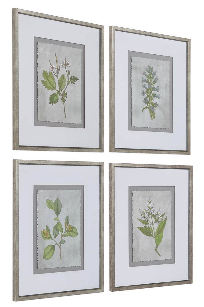 Stem Study Framed Prints Set/4 R38731