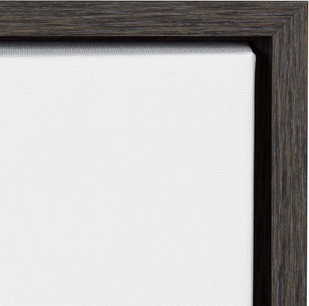 Black and White Lion Print Framed Canvas Wall Art G167