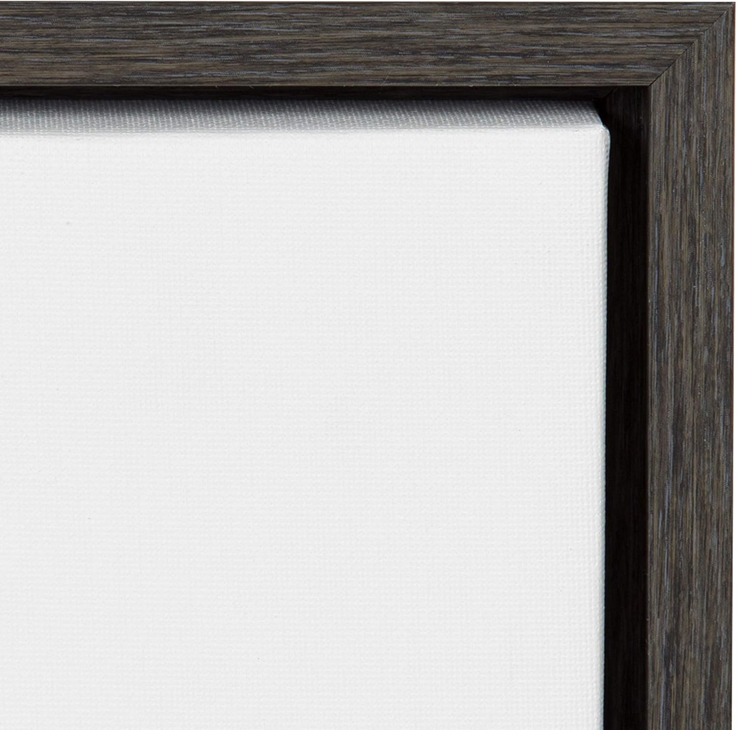 Black and White Lion Print Framed Canvas Wall Art G167