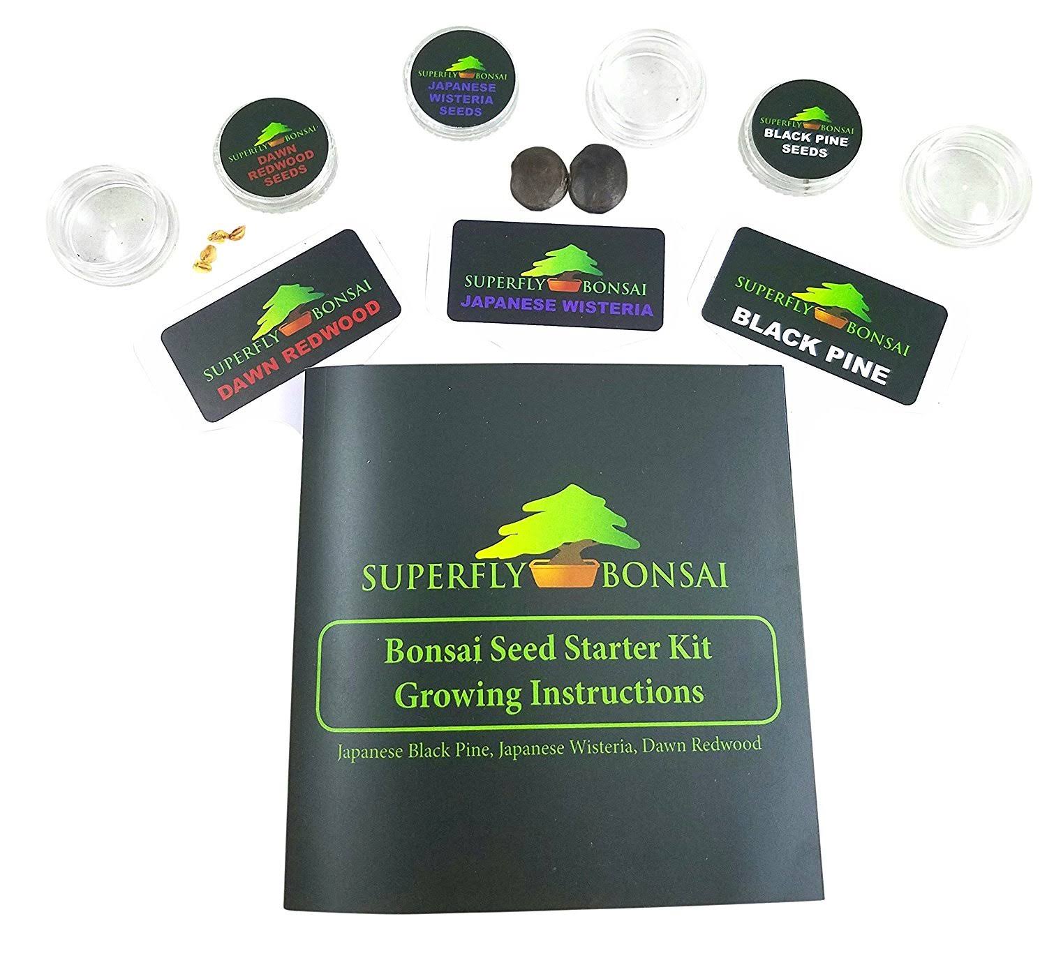 Bonsai Tree Starter Seed Kit, Black Pine, Wisteria & Dawn Redwood H76089