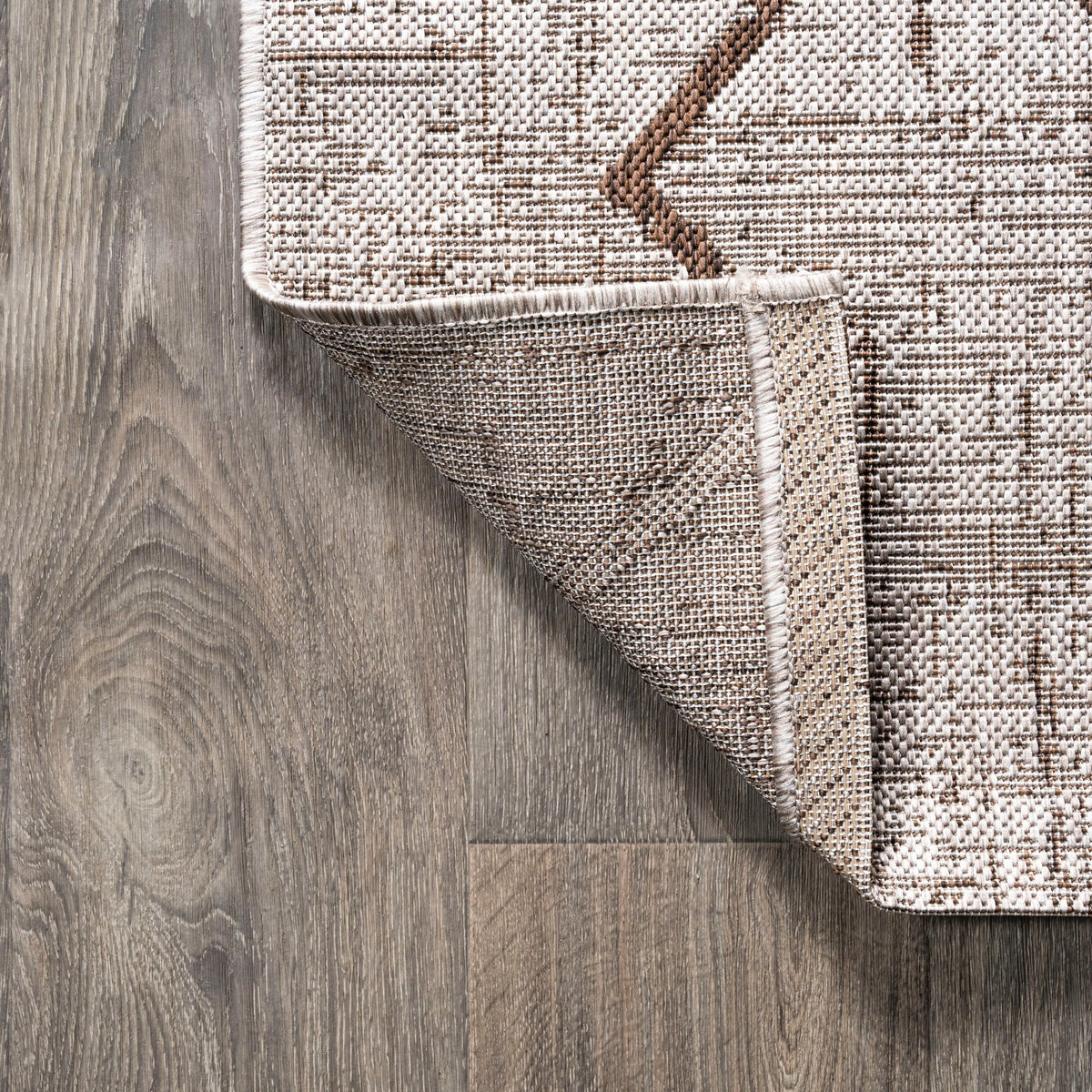 Beige/Brown 5 ft. x 8 ft. Indoor/Outdoor Area Rug O2903