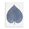 Canvas Giclee 30x40 I226351