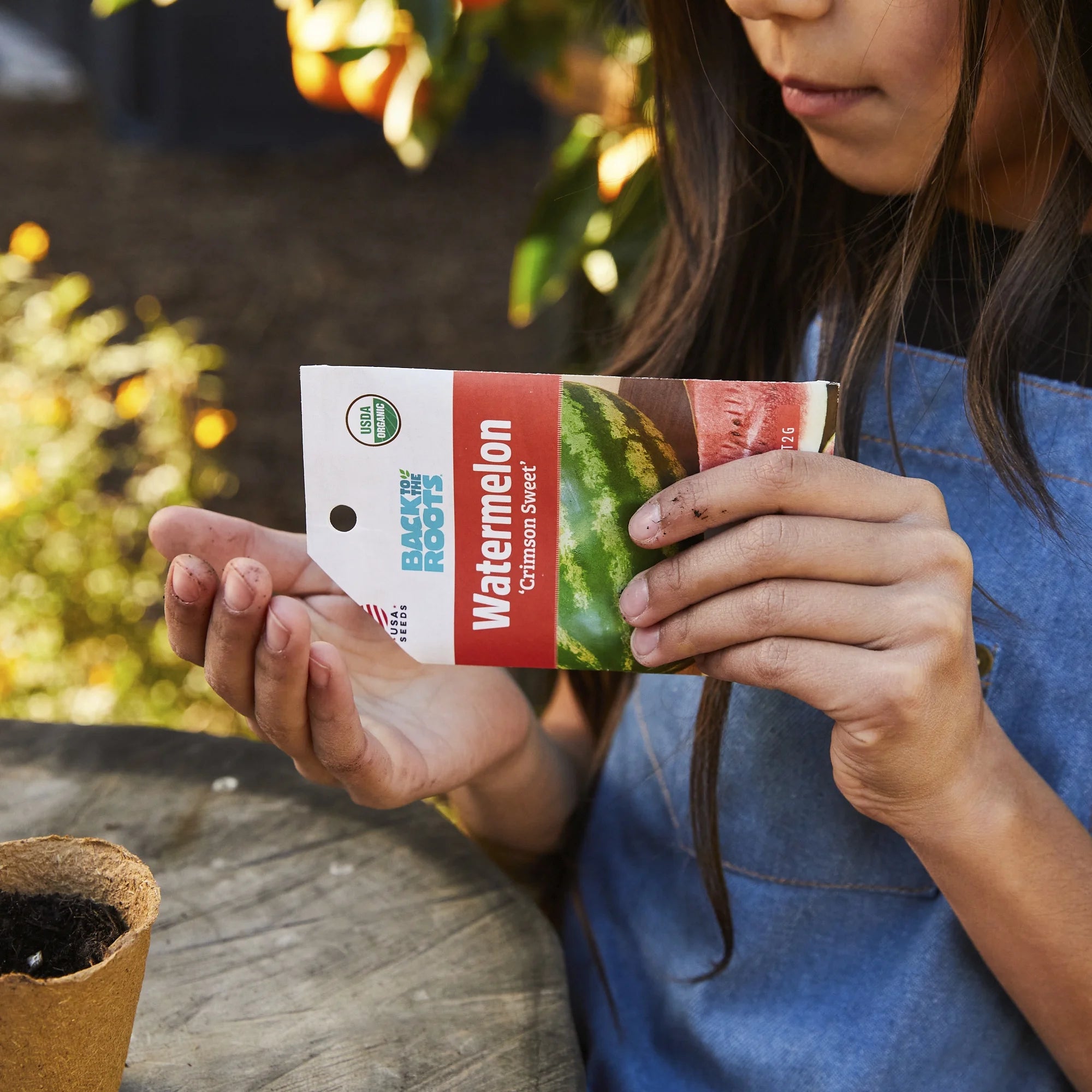 Organic Sweet Red Marconi Pepper Seeds, 1 Seed Packet B691