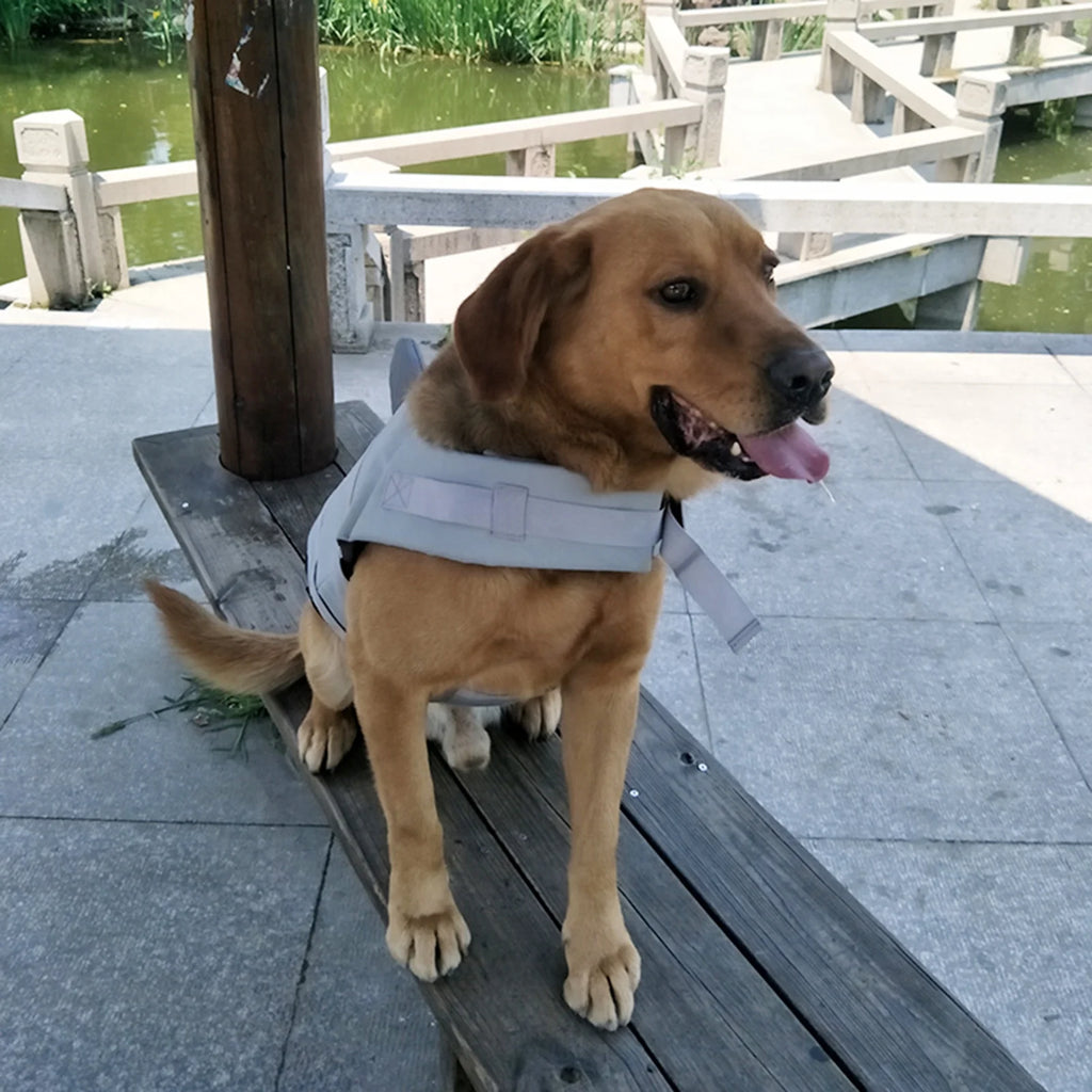 Dog Life Jacket Swimsuit Vest O4110