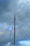 Vertical Antenna E422580