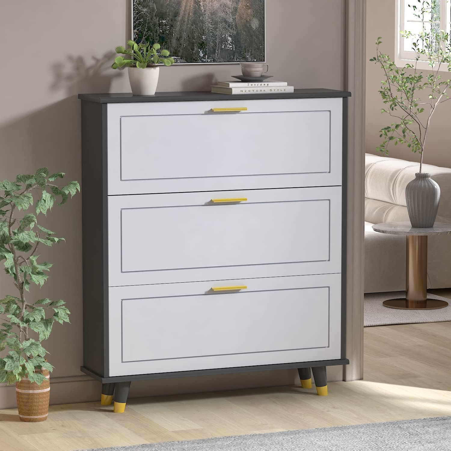 Black and White 3 Drawer Wood Shoe Storage Cabinet I96611