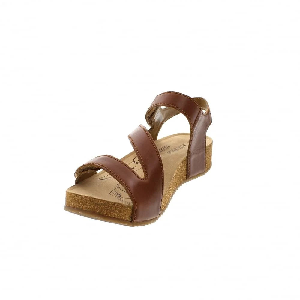 Camel Tonga 25 Shoes K381562