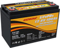12.8V 100Ah LiFePO4 Deep Cycle Battery with 100A BMS I921