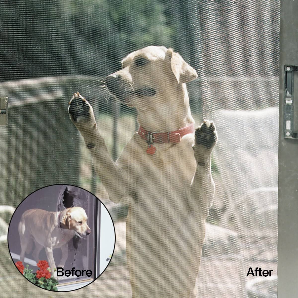 Gray Petscreen A827