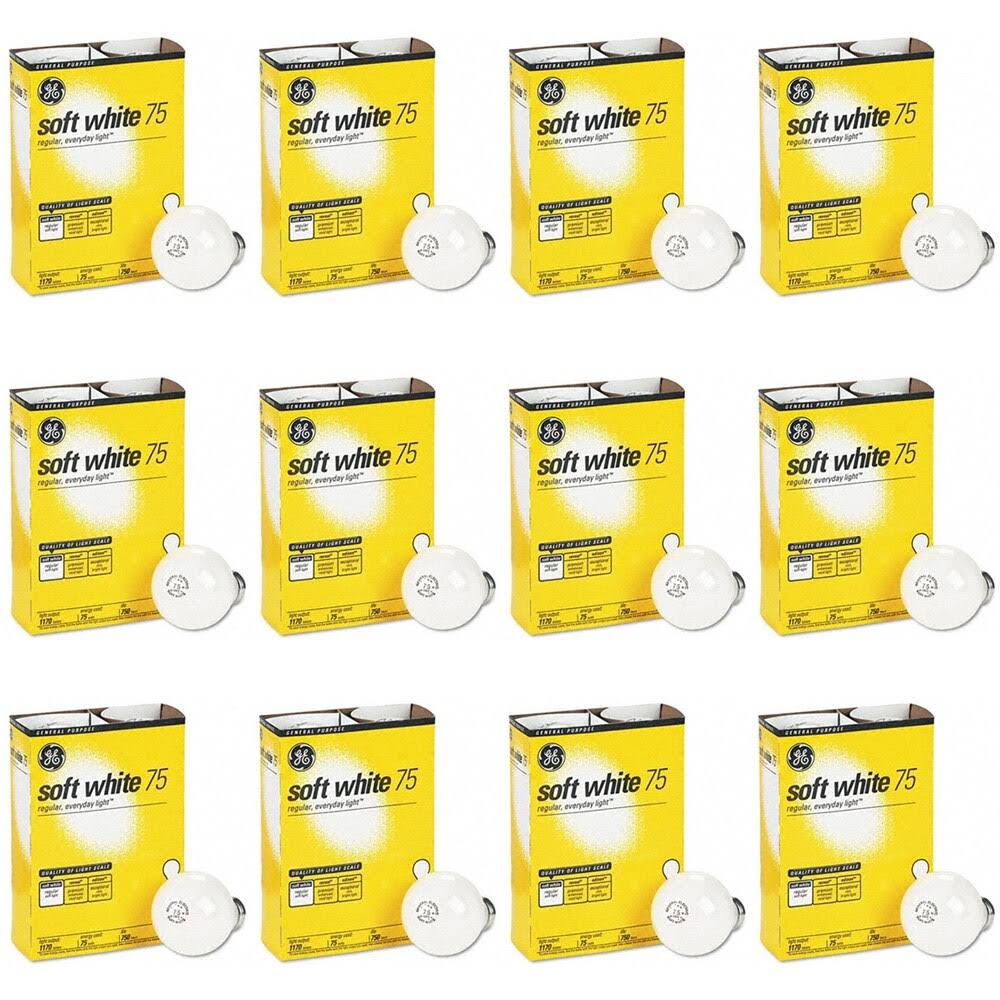 75-Watt A19 Soft White 4 Bulbs per Pack (12 Pack) N946