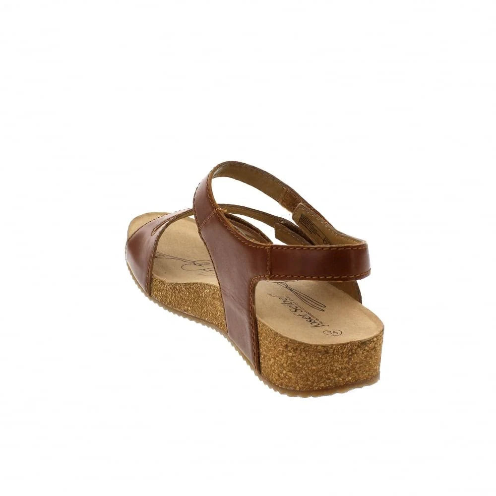 Camel Tonga 25 Shoes K381562
