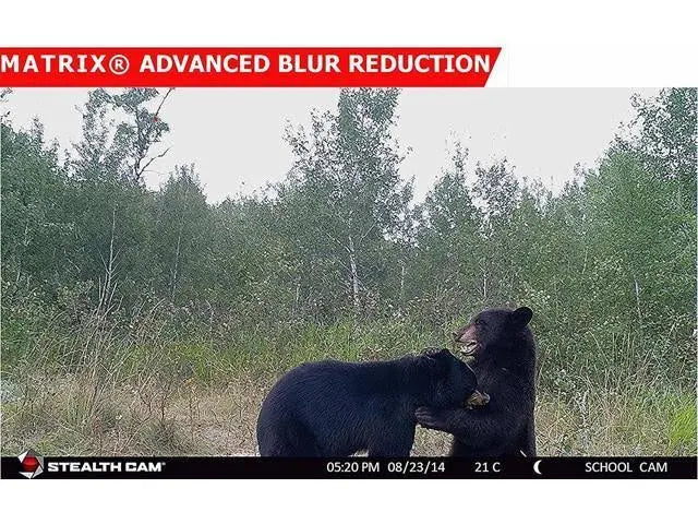 12 Mp Game Camera Y84555