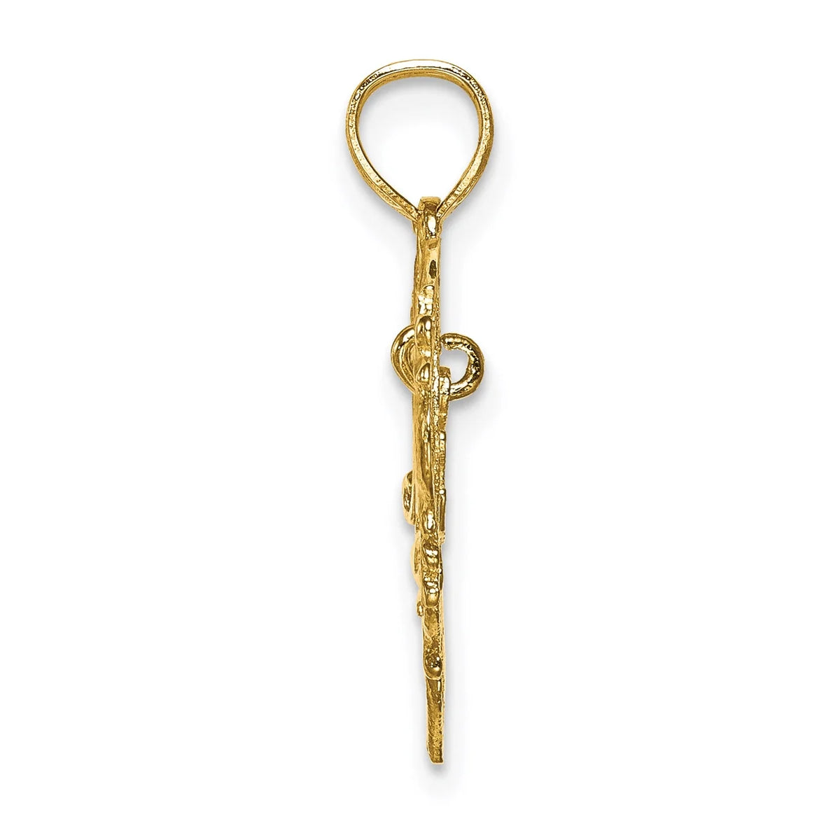 14K Yellow Gold Polished Heart Pendant Charm with 10K Yellow Gold Rope Chain Necklace 18'' Y29644