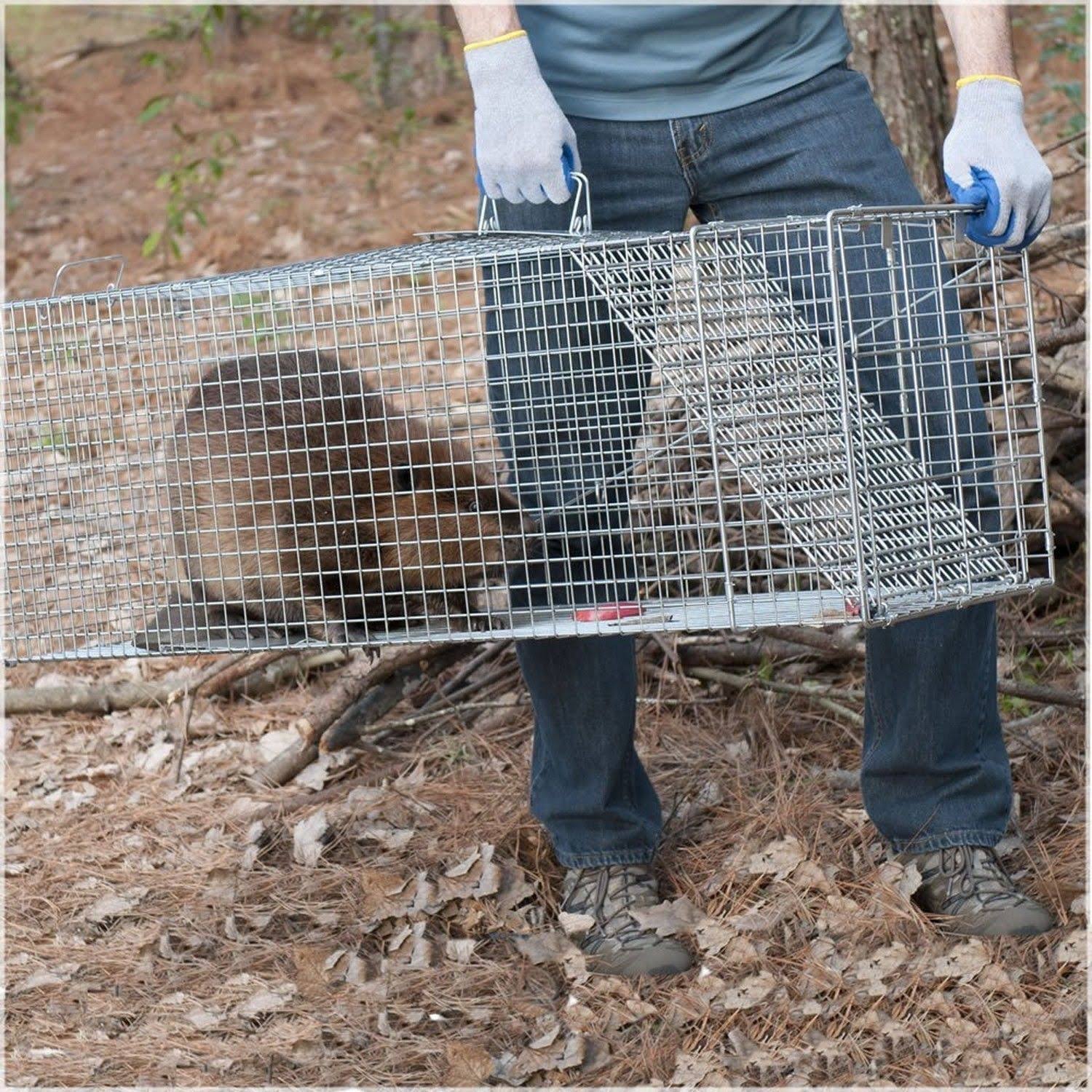 Large One-Door Cage Trap M283667