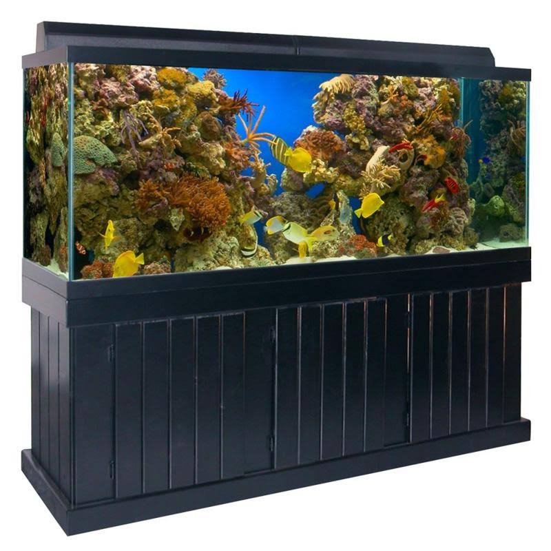 Black Pine Cabinet Q1530