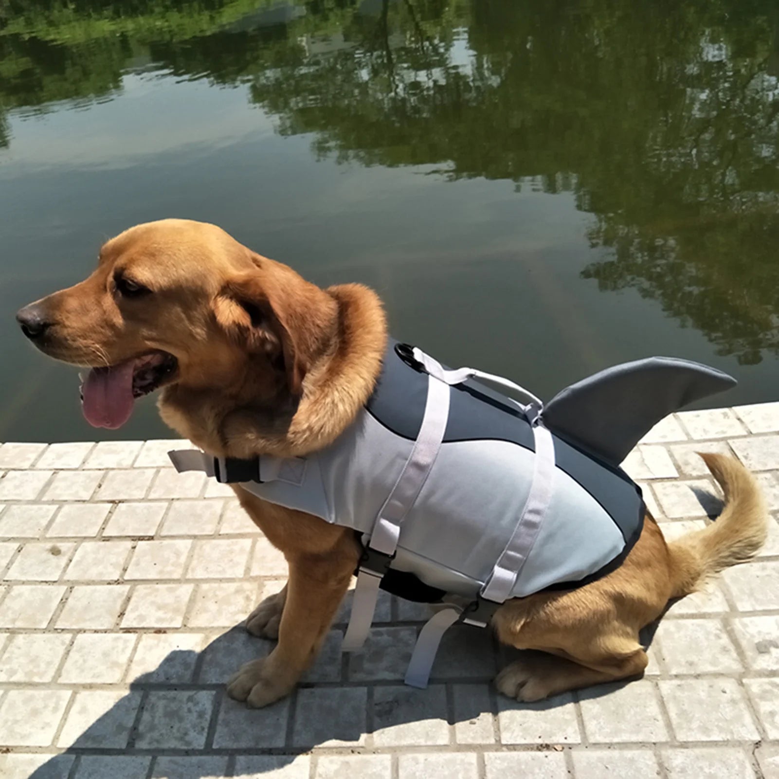 Dog Life Jacket Swimsuit Vest O4110