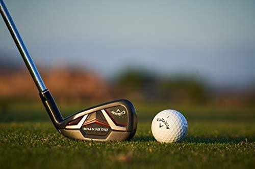 Big Bertha Iron Set I6522