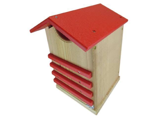 Poly Screech Owl House U29982