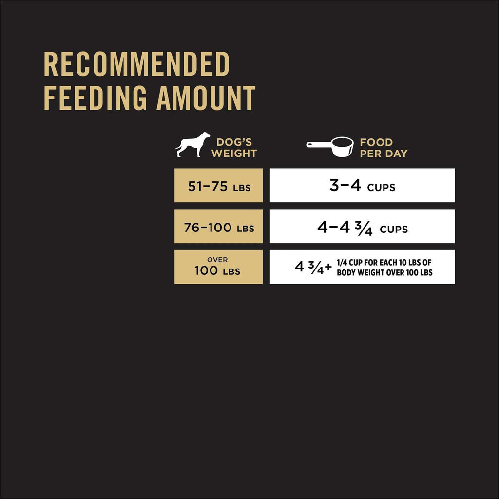 Salmon Formula Sensitive Skin Stomach Large Breed Adult Dog Food T237