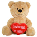 Teddy Bear Plush N13162