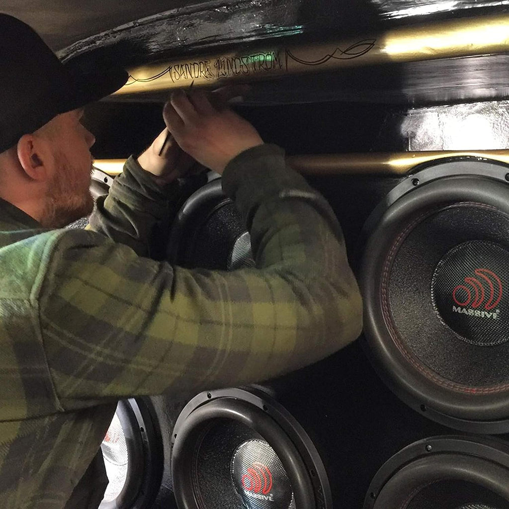 12 Inch Car Audio Subwoofer, 700 Watt RMS, Dual 2 Ohm O63664