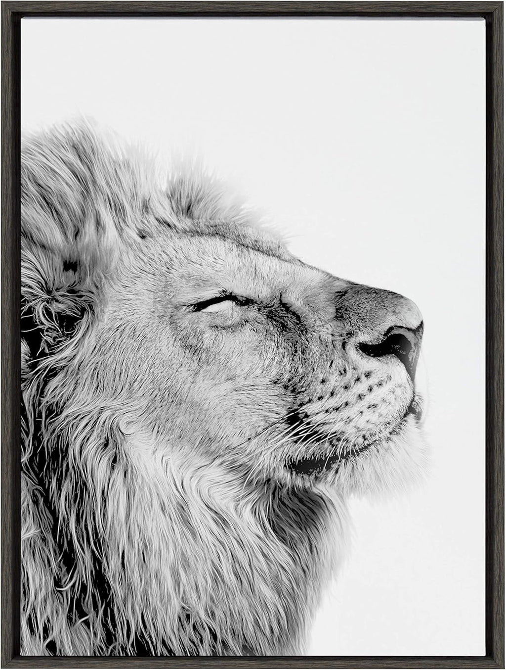 Black and White Lion Print Framed Canvas Wall Art G167