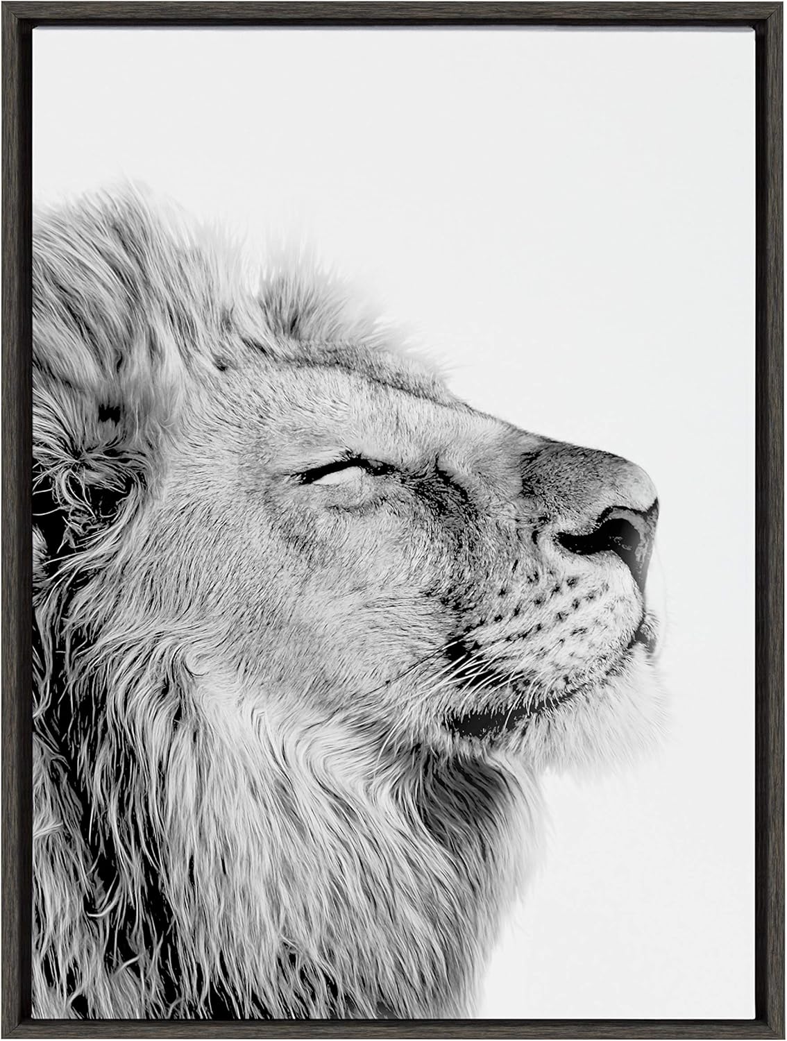 Black and White Lion Print Framed Canvas Wall Art G167