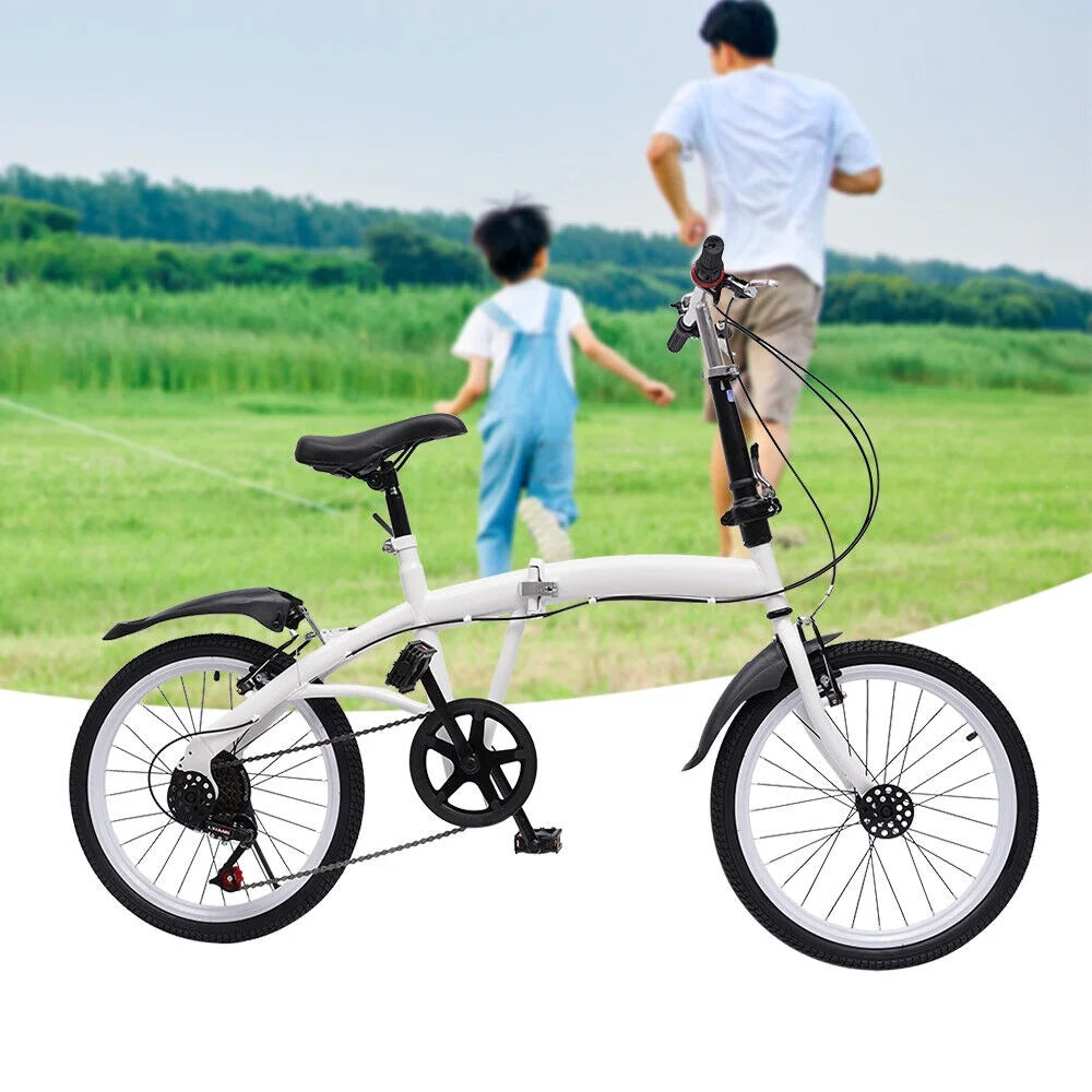 20-inch Folding Bike 7 Speed Double V Brake Carbon Steel X493