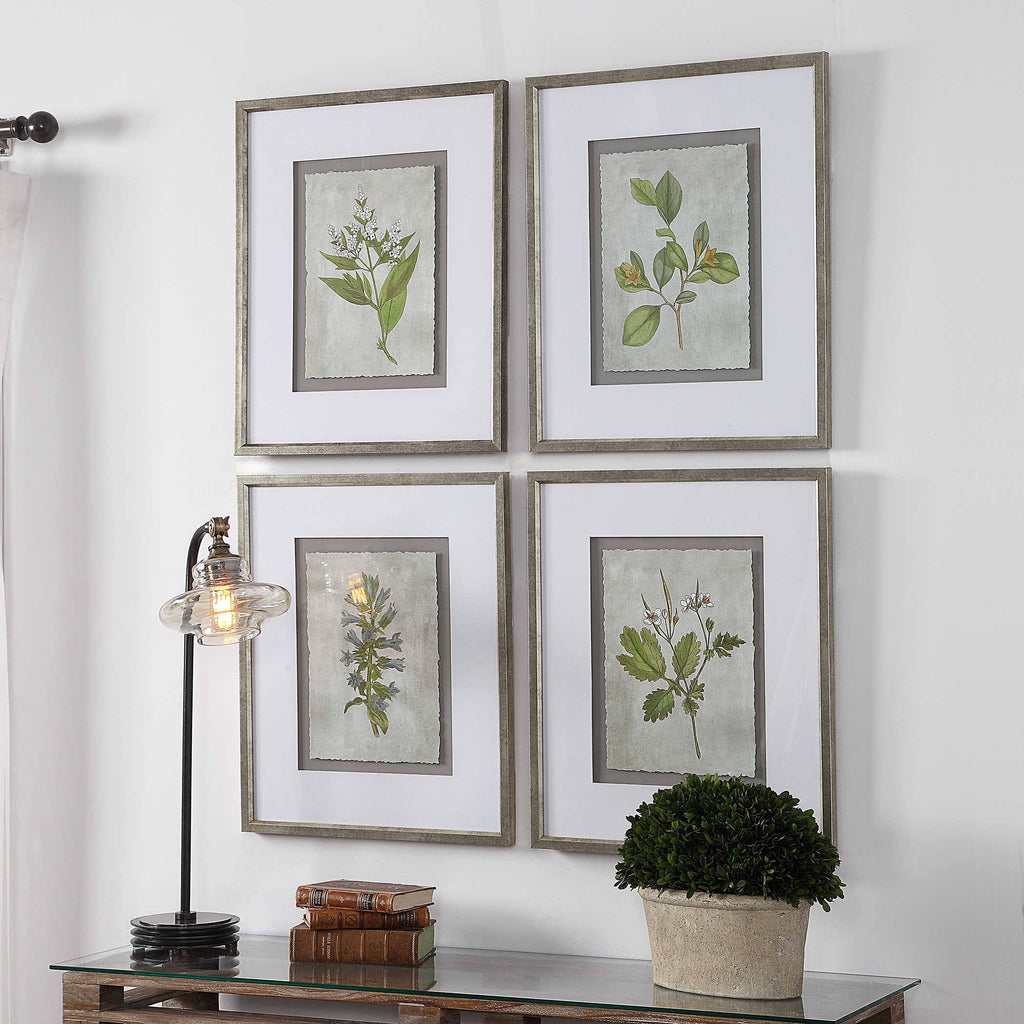 Stem Study Framed Prints Set/4 R38731