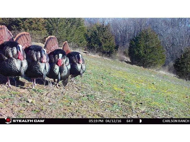 12 Mp Game Camera Y84555