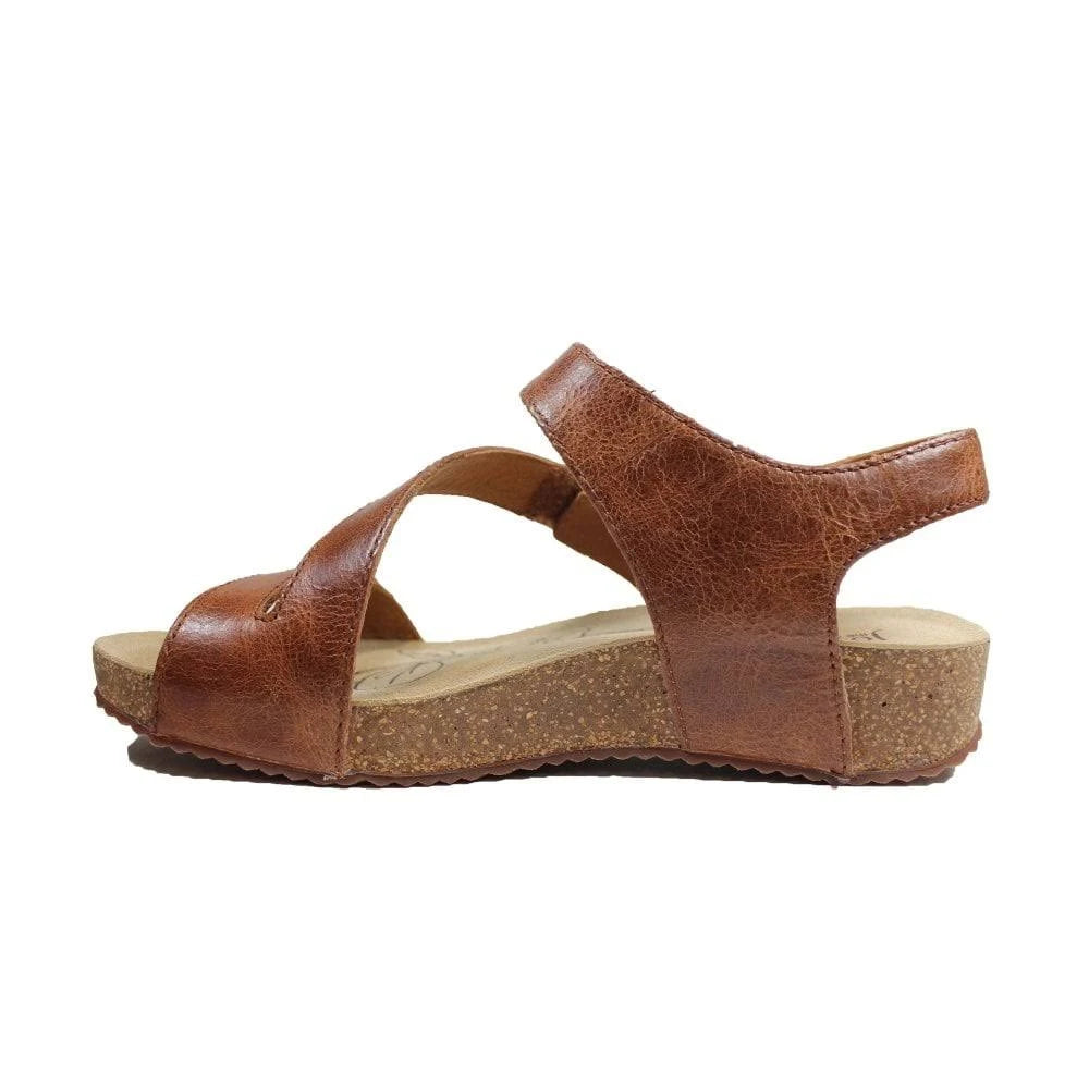 Camel Tonga 25 Shoes K381562