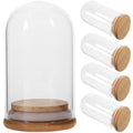 5 Pcs Glass Dome Display Case with Bamboo Z563