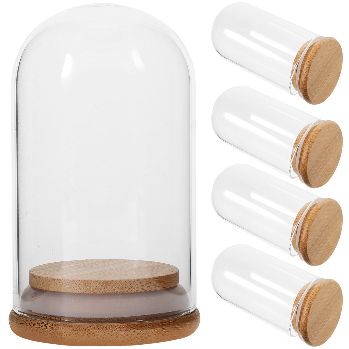 5 Pcs Glass Dome Display Case with Bamboo Z563